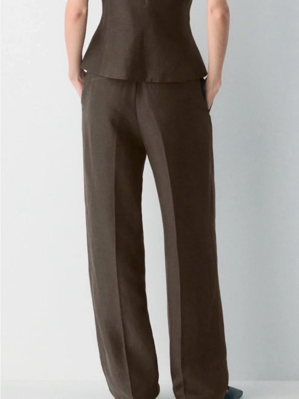 Aritzia Brown Wide-Leg Pleated Trousers